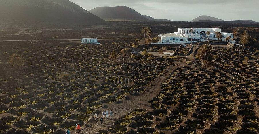 Lanzarote: Vineyard Tour with Wine and Chocolate Tasting - Key points to know before you book