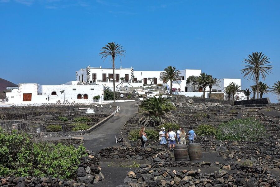Lanzarote: Vineyard Tour with Wine and Chocolate Tasting - The 50-minute walk at Finca Testeina