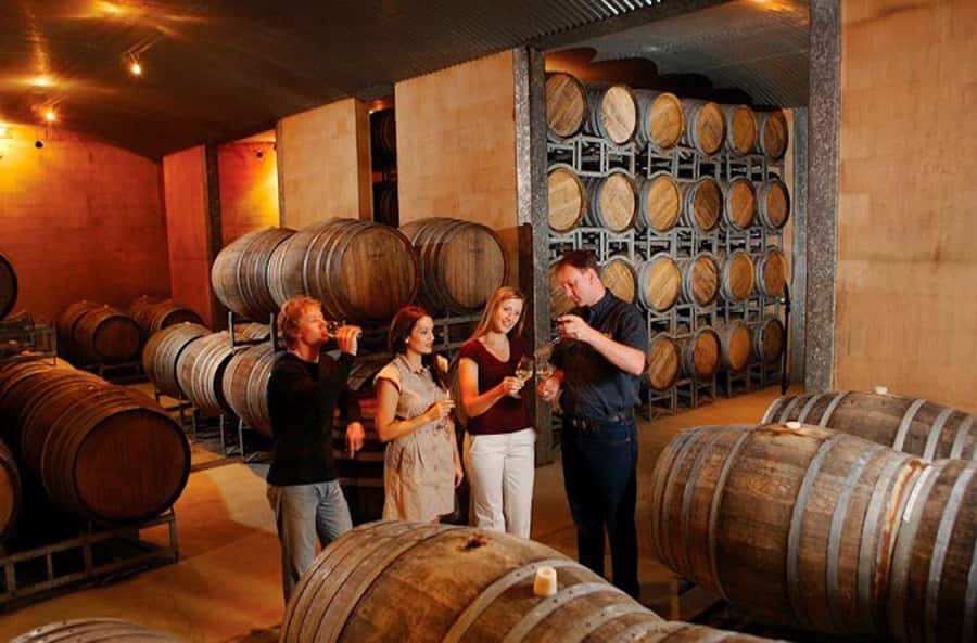 Launceston: Tamar Valley Wine Tour with Lunch - Moore’s Hill, Loira Vines, and the value of different styles