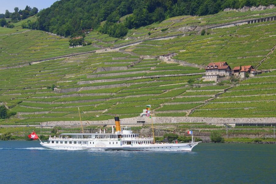 Lausanne: 2-Hour Lake Geneva Cruise Along Lavaux Vineyards - Key points to know before boarding