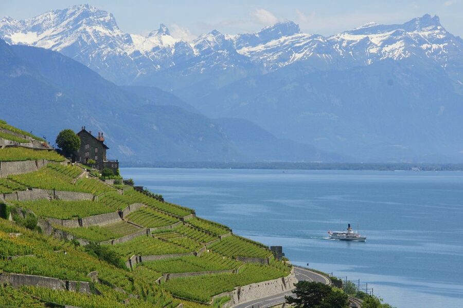 Lausanne: 2-Hour Lake Geneva Cruise Along Lavaux Vineyards - Lausanne to Vevey: the scenic heart of the ride