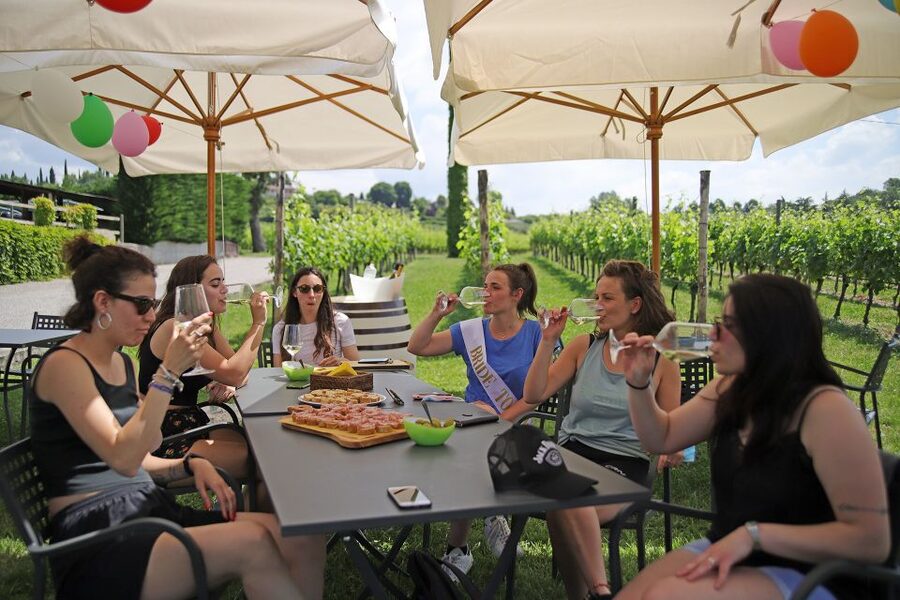 Lazise: Bike Tour and Wine Tasting - A Lake Garda Ride With a Winery Waiting at the End