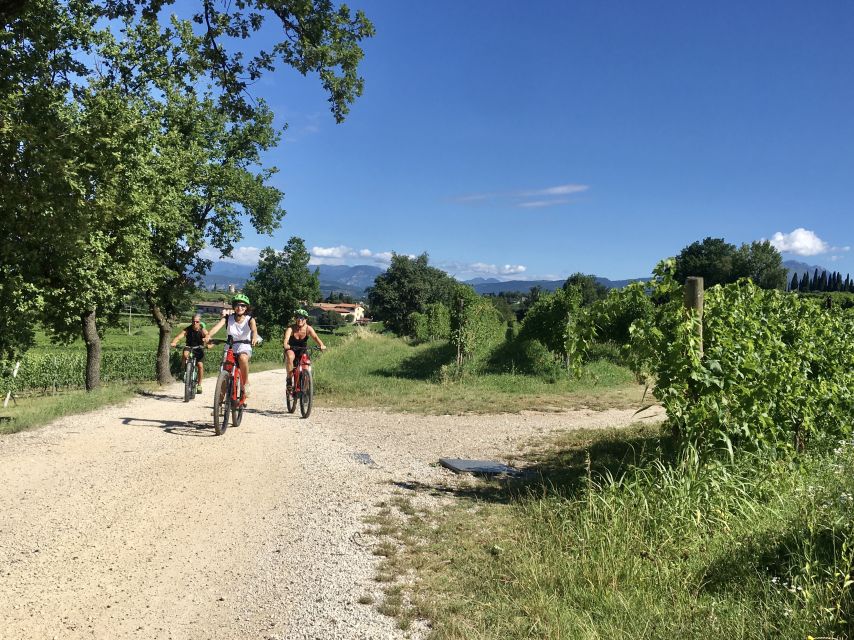 Lazise: Bike Tour and Wine Tasting - E-Bikes Make the 20-Kilometer Route Manageable