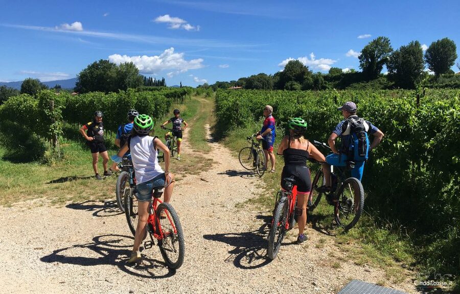 Lazise: Bike Tour and Wine Tasting - What Alex and the Other Guides Add