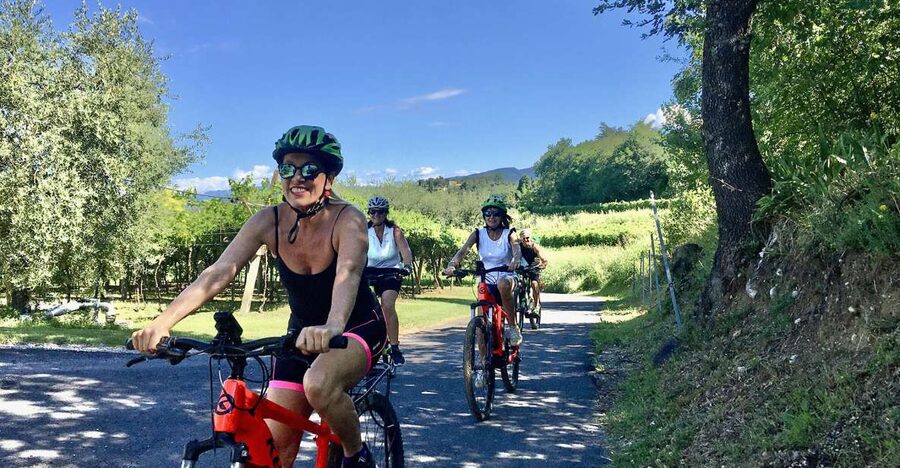 Lazise: Bike Tour and Wine Tasting - The Le Ginestre Winery Finish