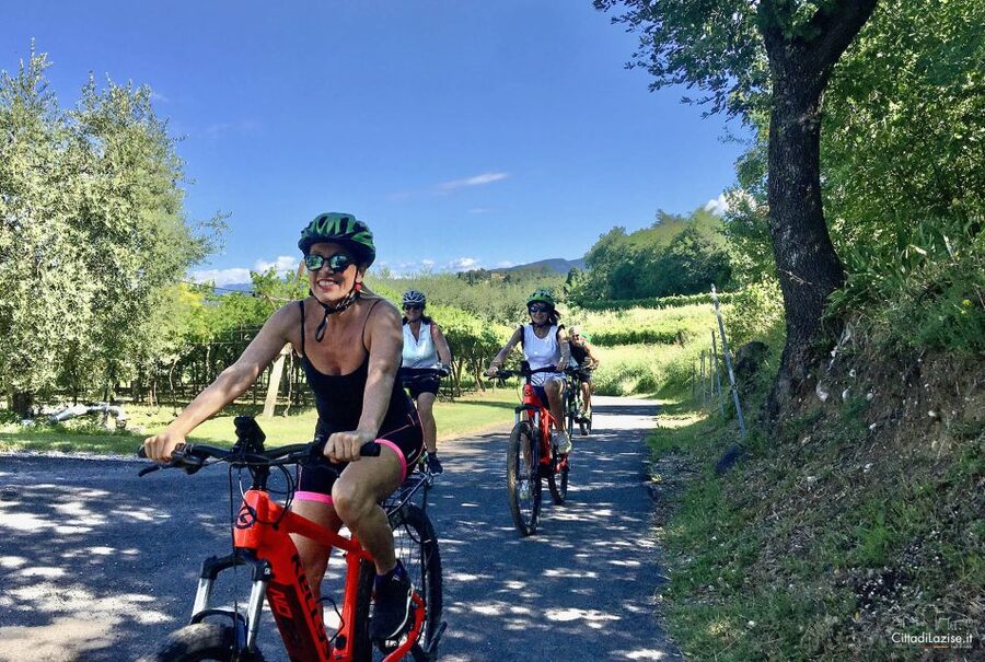 Lazise: Bike Tour and Wine Tasting - Vineyards, Olive Groves, and Lake Views