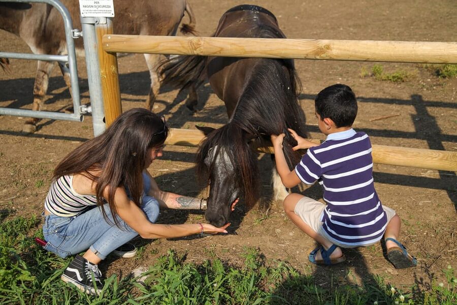 Lazise: Biodynamic Farm Tour and Natural Wine Tasting - A working farm, not just a wine tasting