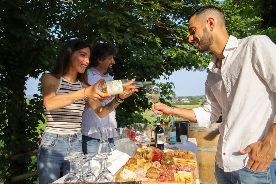 Lazise: Biodynamic Farm Tour and Natural Wine Tasting - Walking the vines and learning biodynamic methods