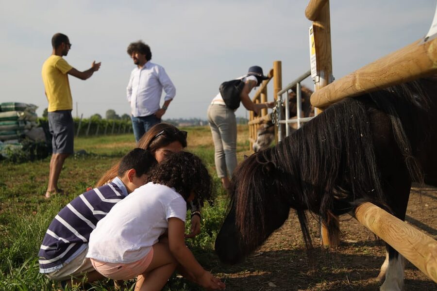 Lazise: Biodynamic Farm Tour and Natural Wine Tasting - FAQ