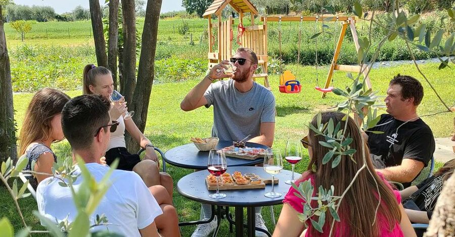 Lazise: Wine Tasting with Charcuterie and Cheese Board - A quiet farm break from Lake Garda