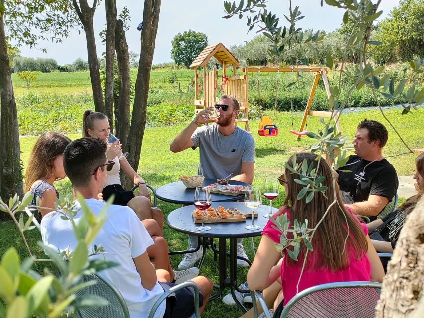 Lazise: Wine Tasting with Charcuterie and Cheese Board - Three wines with clear, easy-to-follow character