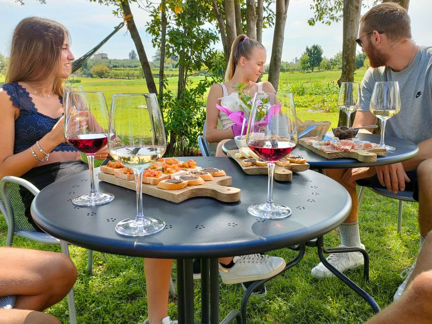 Lazise: Wine Tasting with Charcuterie and Cheese Board - Who will get the most from this tasting