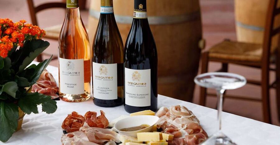 Lazise: Winery Tour with Garda Wines and Food Tasting - Starting at the Red and Yellow Winery