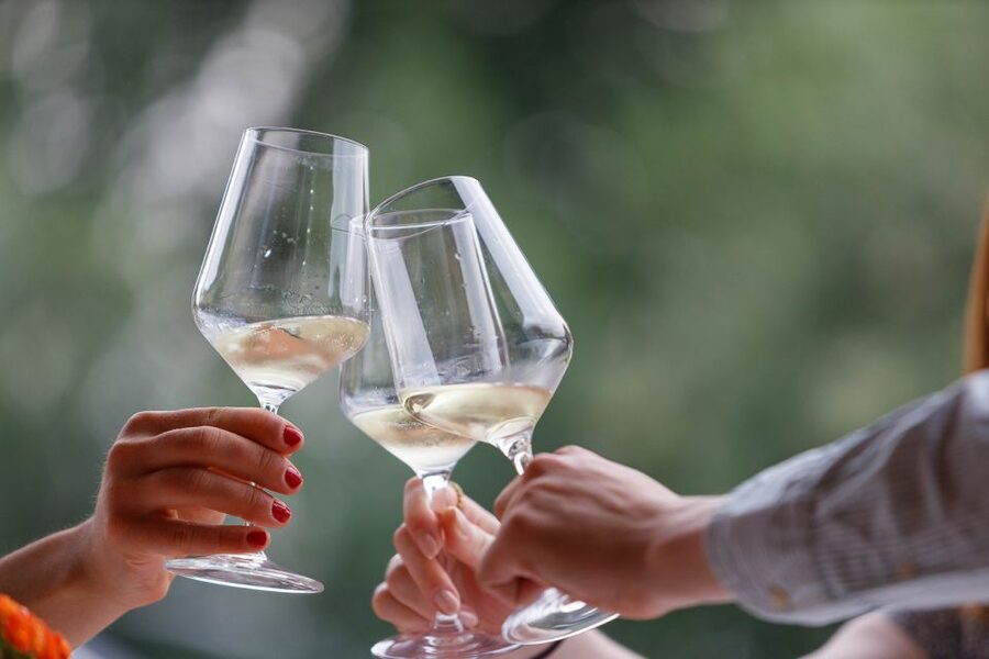 Lazise: Winery Tour with Garda Wines and Food Tasting - Seeing Fermentation and Aging First-Hand