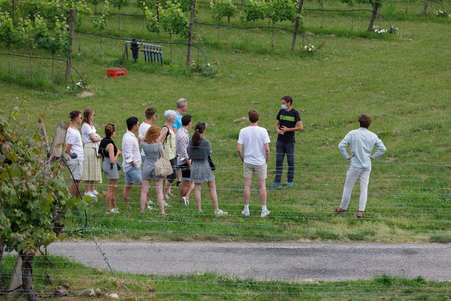 Lazise: Winery Tour with Garda Wines and Food Tasting - How Much Time You Really Need