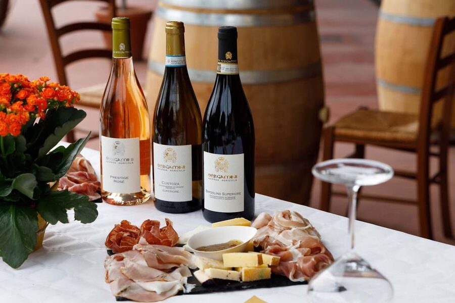 Lazise: Winery Tour with Garda Wines and Food Tasting - Walking Through the Vineyards