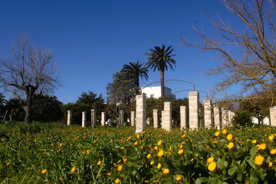 Lecce: Countryside Vineyard Walk & Wine Tasting - Walking among Salento vines and Mediterranean plants