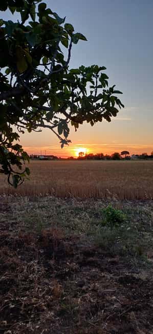 Lecce: Countryside Vineyard Walk & Wine Tasting - Who will enjoy this two-hour experience most
