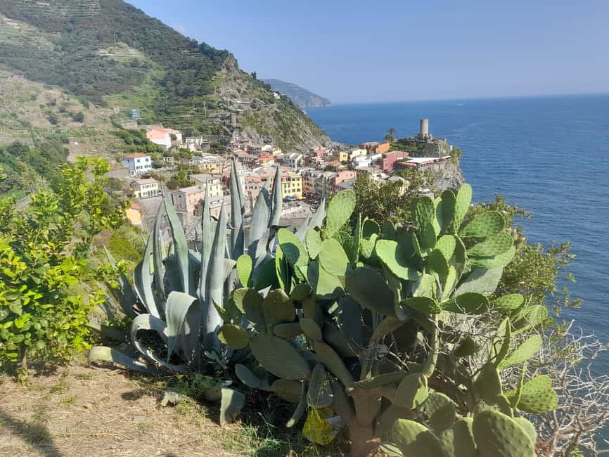 Lemon tour with Limoncino and Wine tasting in Vernazza (Cinque Terre) - Tasting limoncino, wine, and farm-made liqueurs
