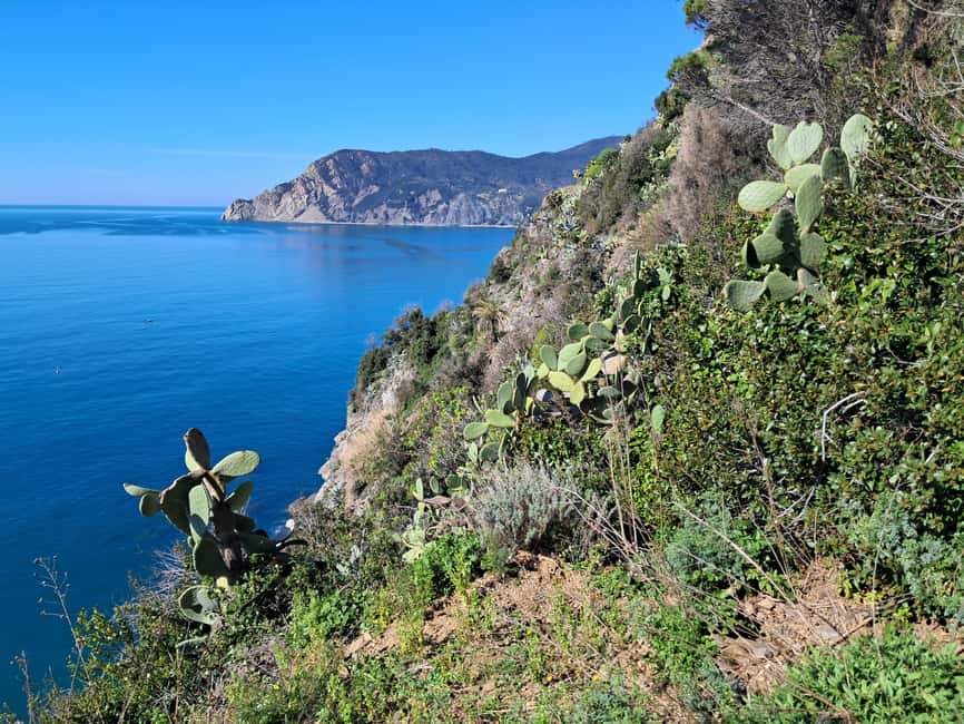 Lemon tour with Limoncino and Wine tasting in Vernazza (Cinque Terre) - Following the old route toward Monterosso