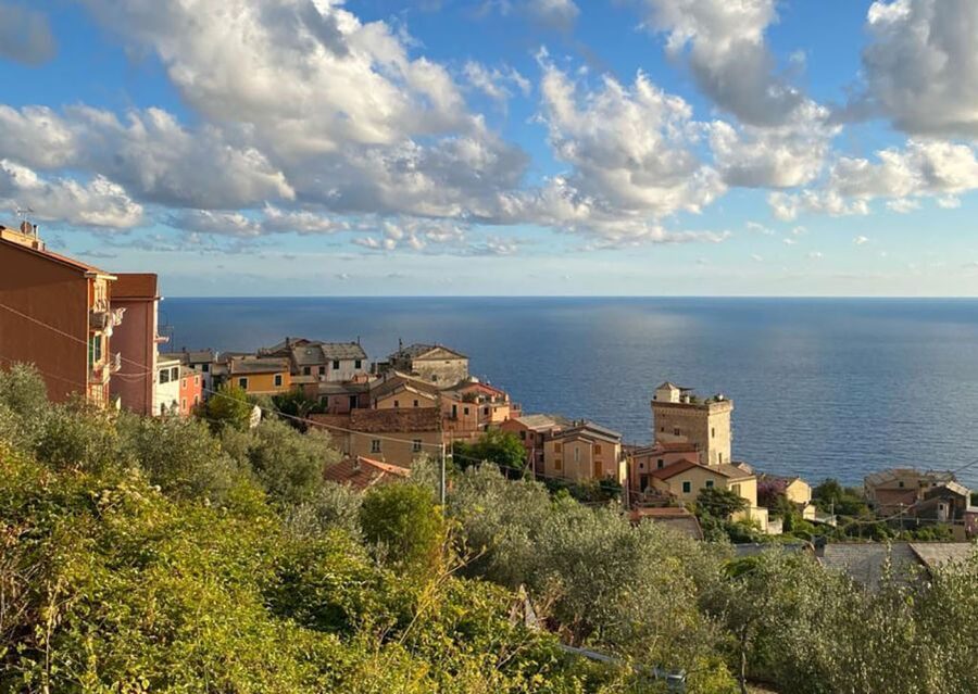 Levanto: Guided E-Bike Tour in Framura with Wine & Focaccia - Who should book, and who should skip it