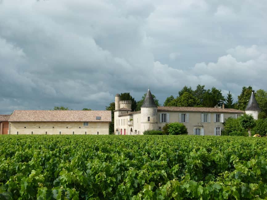 Libourne: Winery Tour with Wine and Chocolate Tasting - The Three-Wine Tasting
