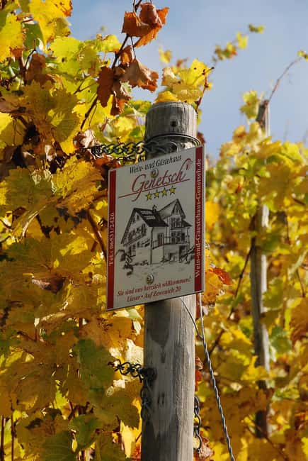 Lieser: Covered wagon ride, the rolling wine tasting with picnic basket - Price, value, and possible snags