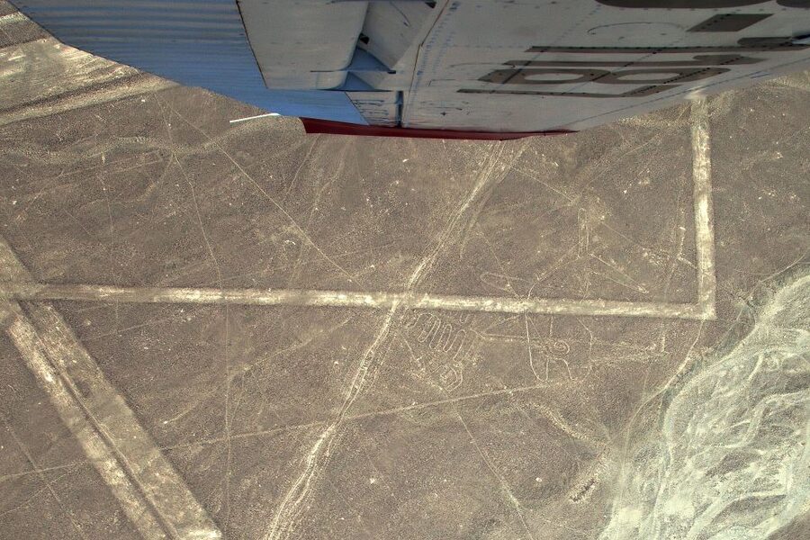 Lima: Huacachina, Winery, & Nazca Lines from Pisco Airport - Huacachina, where palm trees meet the dunes
