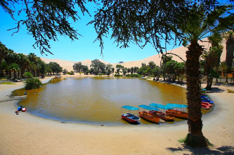 Lima: Huacachina, Winery, & Nazca Lines from Pisco Airport - Sandboarding without pretending it is easy
