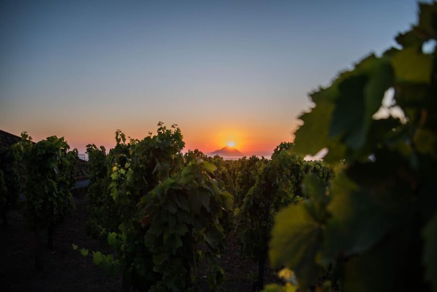 LIPARI WINERY - SUNSET WINE TASTING - The terrace tasting and Sicilian food