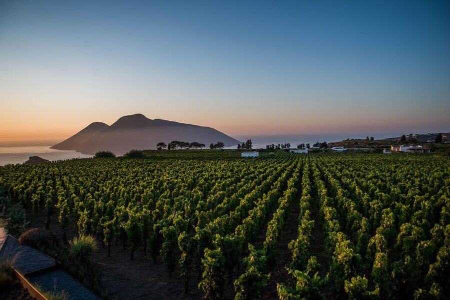LIPARI WINERY - SUNSET WINE TASTING - Timing, transport, and practical details