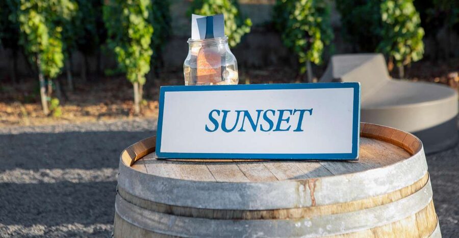 LIPARI WINERY - SUNSET WINE TASTING - Walking among the alberello vines