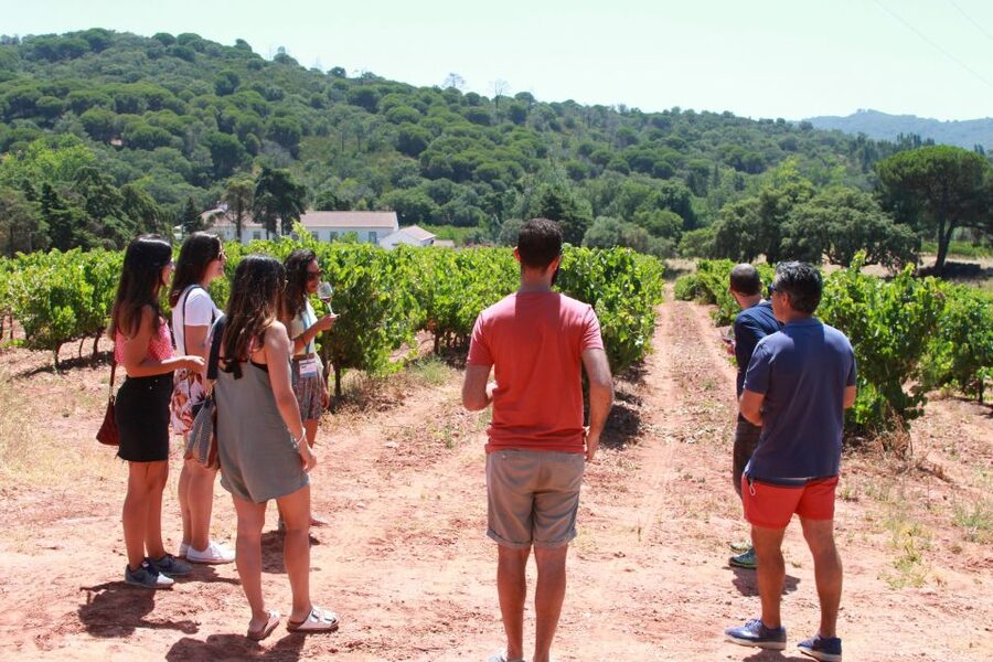 Lisbon: Arrábida and Sesimbra Day Trip with Wine - Key points at a glance