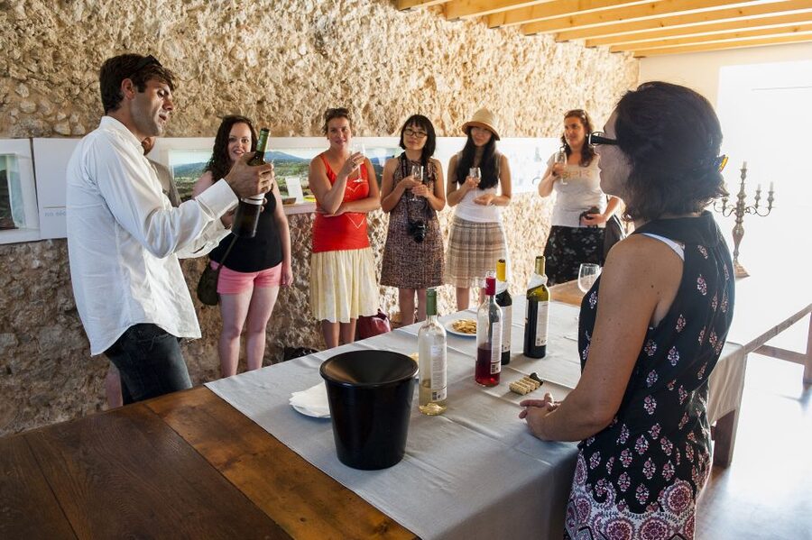 Lisbon: Arrábida and Sesimbra Day Trip with Wine - Guides and group size matter