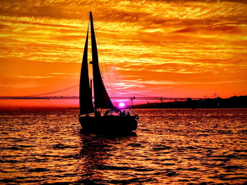 Lisbon: Daytime or Sunset Boat Cruise with History and Wine - Chiado, Time Out Market, and the central waterfront