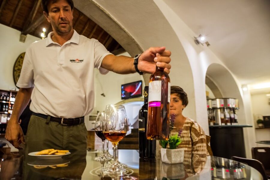Lisbon Private Setúbal Region Wine Tasting Tour - Five useful things to know before booking