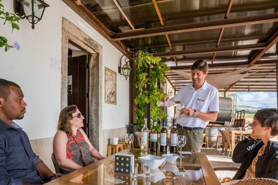Lisbon Private Setúbal Region Wine Tasting Tour - Quinta do Alcube and the agricultural side of wine