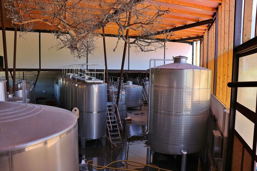 Lisbon Private Setúbal Region Wine Tasting Tour - Choosing between cheese and lunch