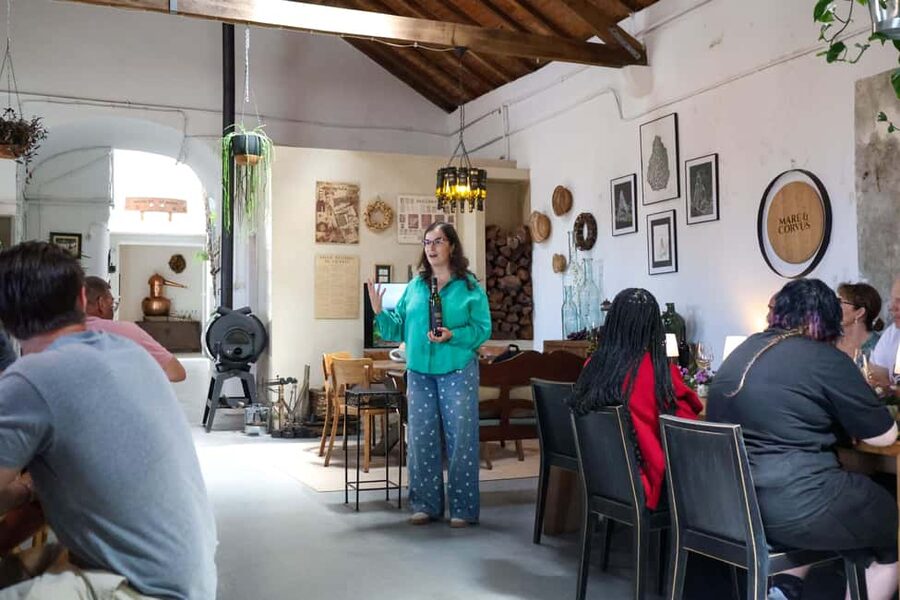Lisbon: Sintra, Pena Palace & Wine Tasting Small-Group Tour - The guides make the difference