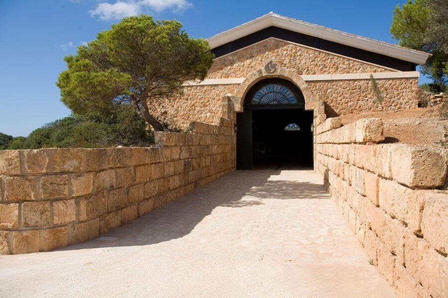 Llucmajor: Bodegas Bordoy Wine Tour - A 90-minute introduction to Bodegas Bordoy