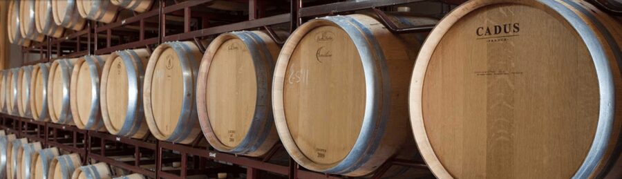 Llucmajor: Bodegas Bordoy Wine Tour - Five wines, explained one glass at a time