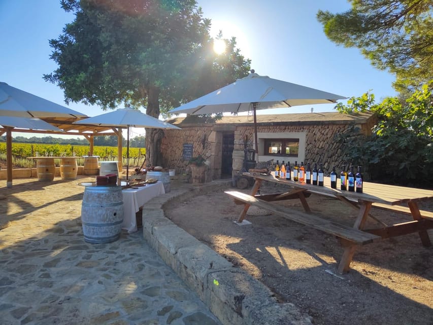 Llucmajor: Bodegas Bordoy Wine Tour - Production room, barrel room, and vineyard walk
