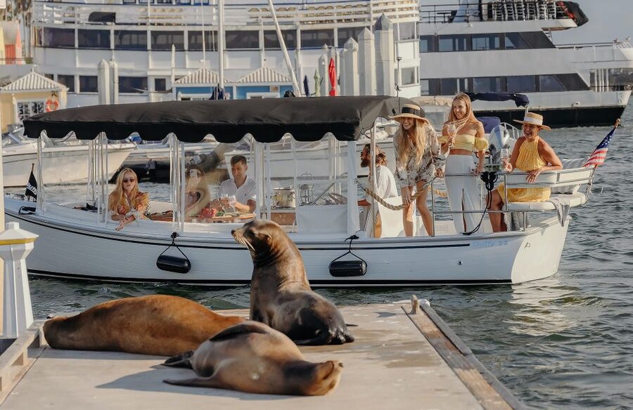 Los Angeles: Luxury Cruise with Wine, Cheese & Sea Lions - Key points to know before booking