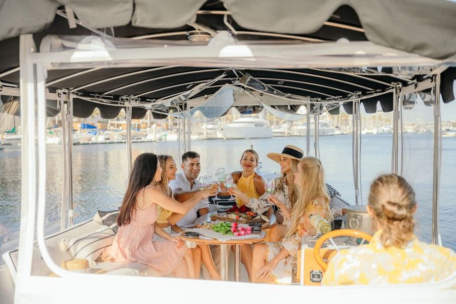 Los Angeles: Luxury Cruise with Wine, Cheese & Sea Lions - Sea lions, birds, and the quiet reward of slow travel