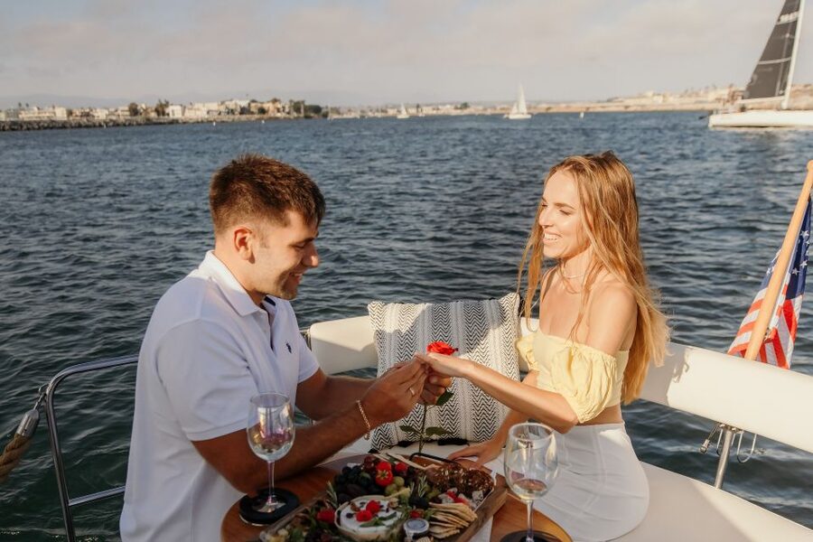 Los Angeles: Luxury Cruise with Wine, Cheese & Sea Lions - Wine and the charcuterie board