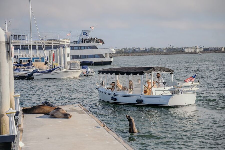 Los Angeles: Luxury Cruise with Wine, Cheese & Sea Lions - Private boat or small group?