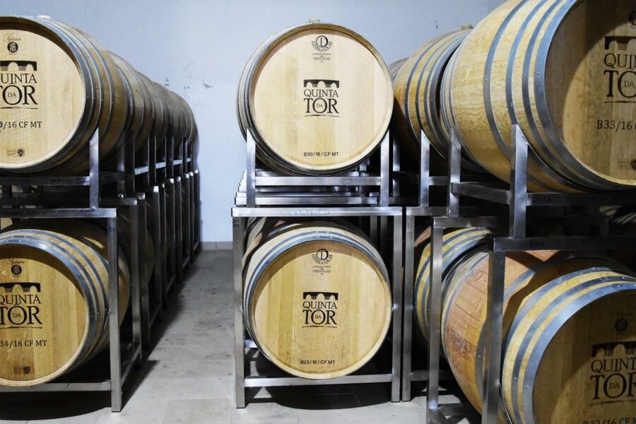 Loulé: Quinta da Tôr Winery Guided Tour and Wine Tasting - Should You Book This Wine Tour?