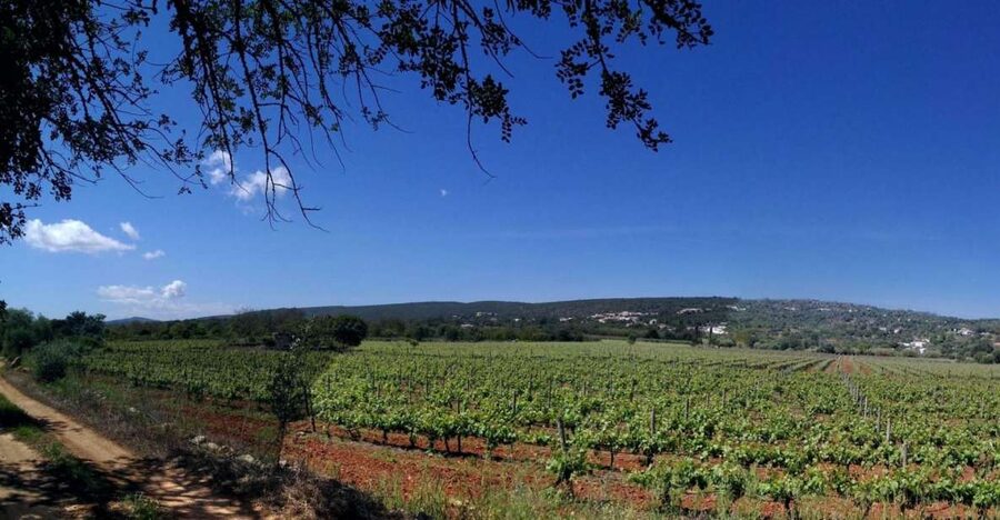 Loulé: Quinta da Tôr Winery Guided Tour and Wine Tasting - Finding the Gate and Getting Settled