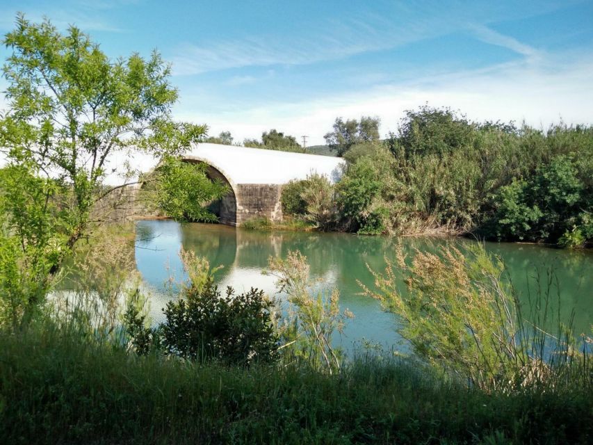 Loulé: Quinta da Tôr Winery Guided Tour and Wine Tasting - The Pool, Views, and the Best Way to Spend the Afternoon