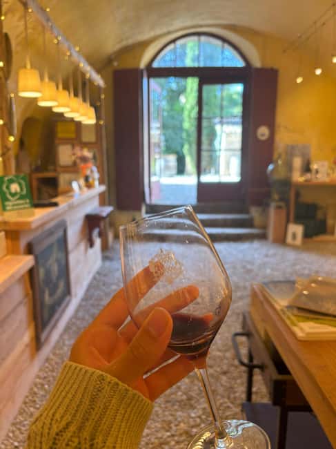 Luberon: Full-Day Wine Tour from Marseille - First vineyard: learning how Luberon wine is made